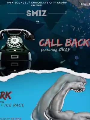 Smiz - Call Back ft. Ckay